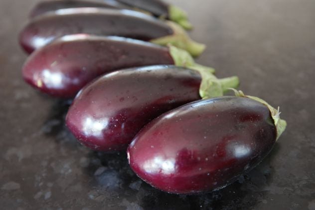 cuire aubergine