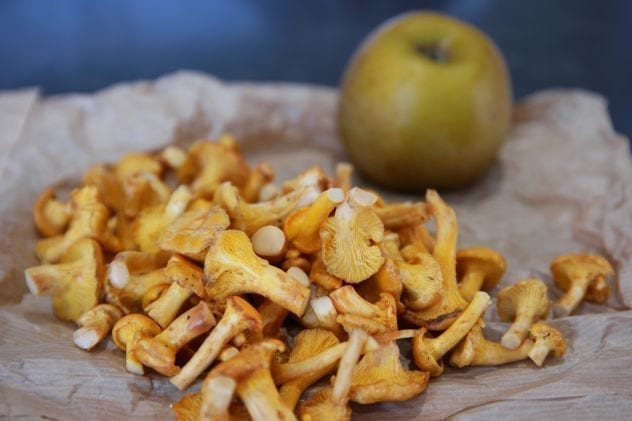 filet canard farci cuit basse température