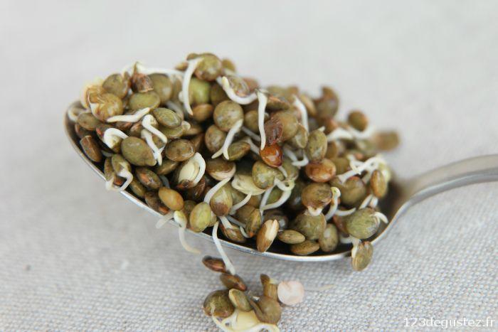 lentilles germées