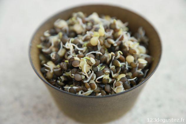 lentilles germées