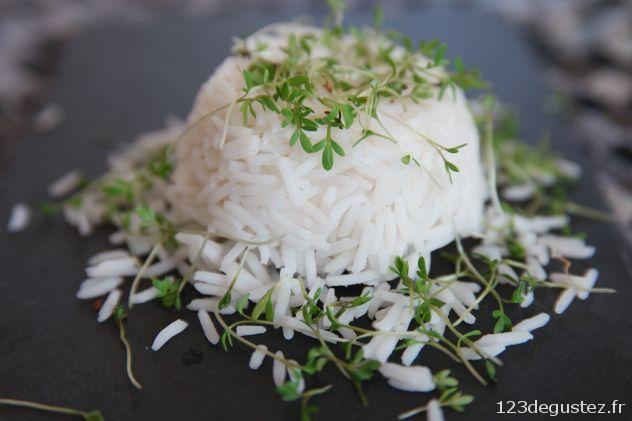 cressonnette germée