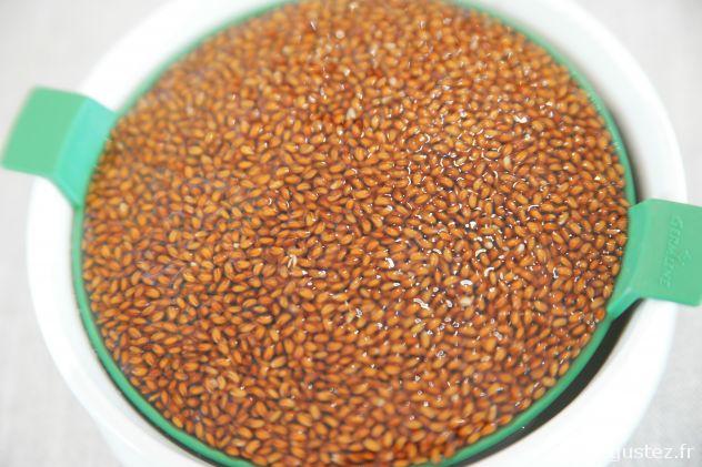 cressonnette germée