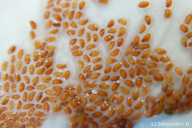 cressonnette germée