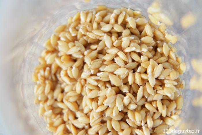 petit épeautre germé