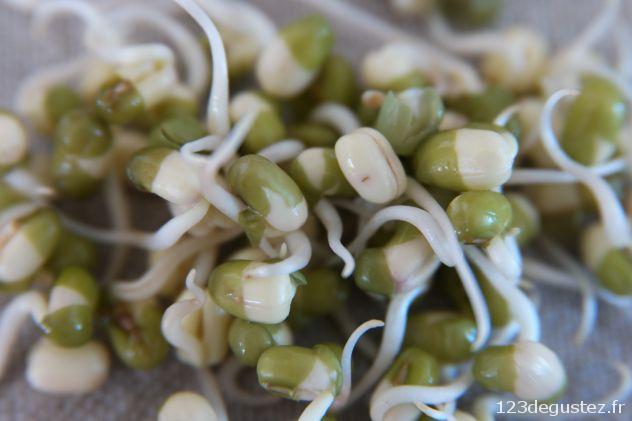 pousse de soja maison