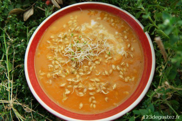 petit épeautre germé