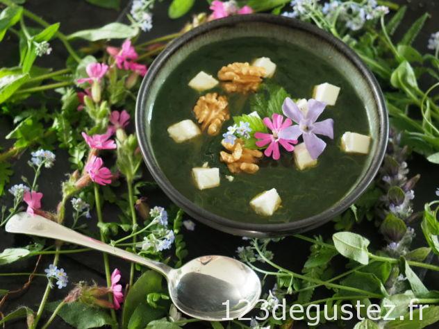soupe d'ortie
