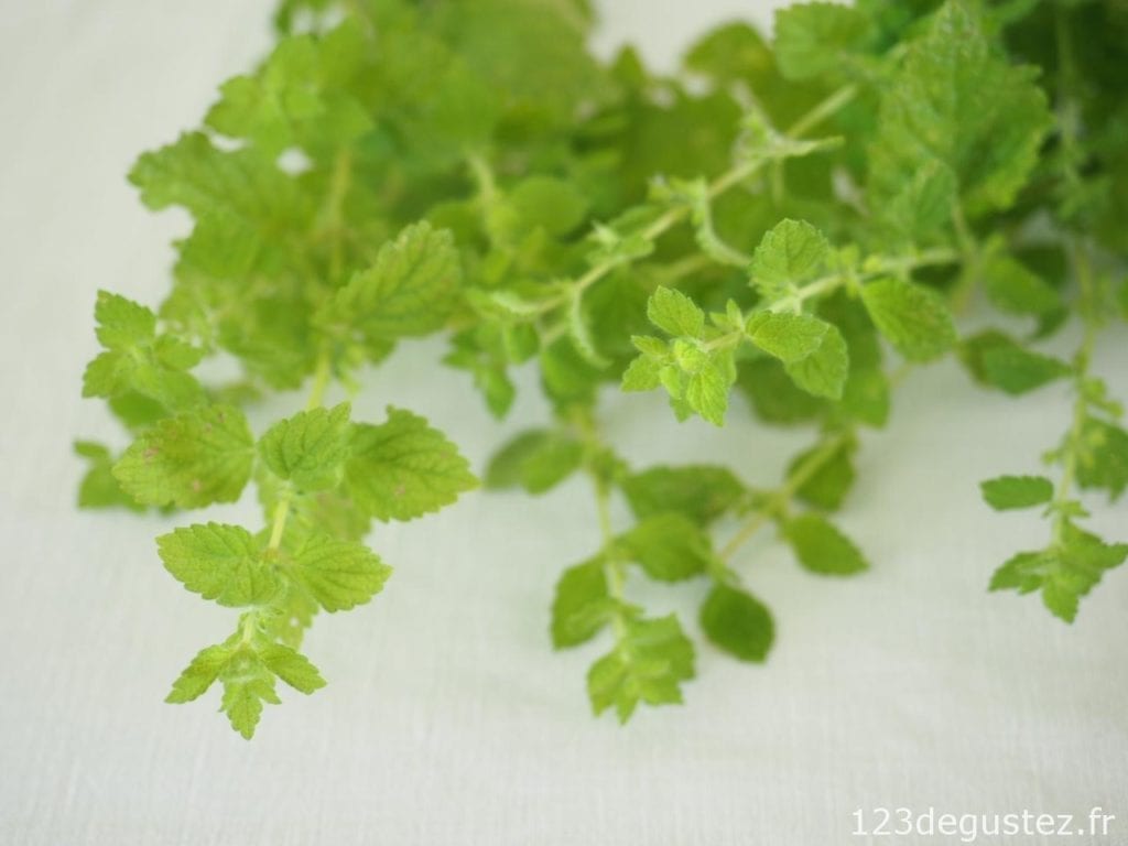 flan de courgette aux herbes