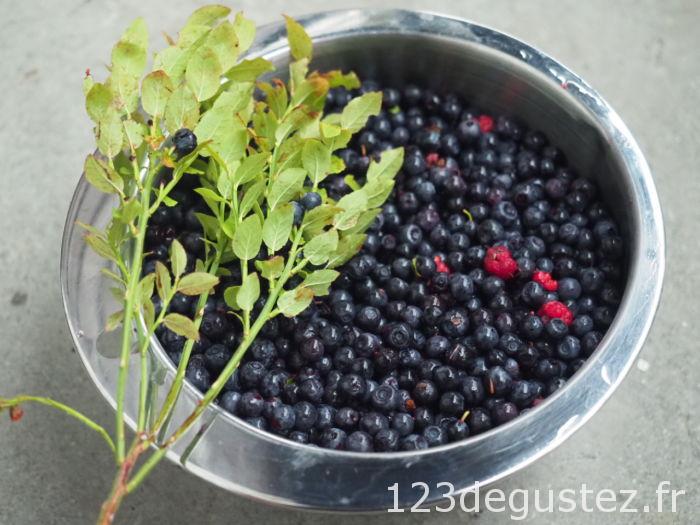 confiture de myrtille à l'agar agar