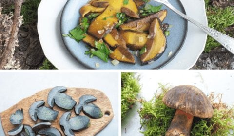 poêlée de champignons bolet à pied rouge