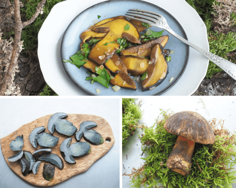 poêlée de champignons bolet à pied rouge