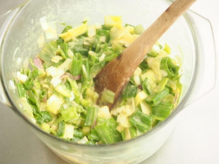 cake aux oignons nouveaux