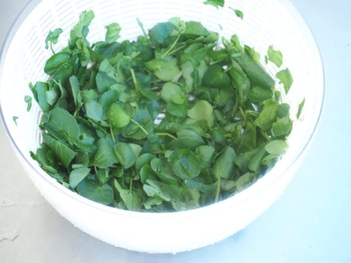 salade de lentlles au cresson