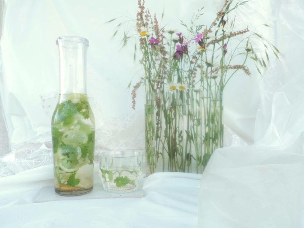 Boisson au lierre terrestre