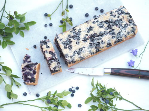 financier géant aux myrtilles