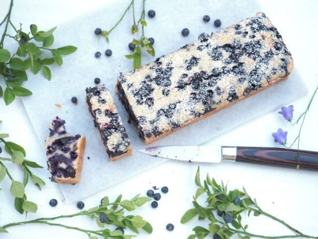 financier géant aux myrtilles