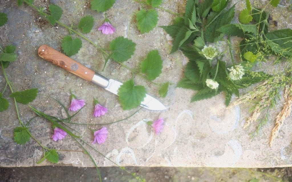 4 saisons de cueillette