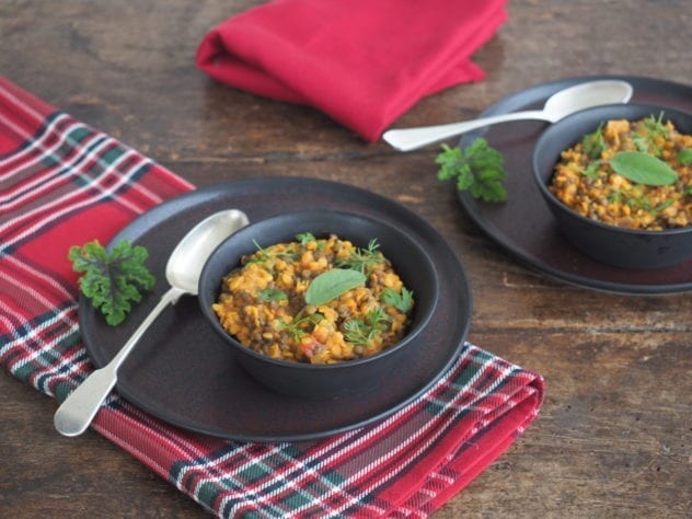 ragout de lentilles vertes et corail