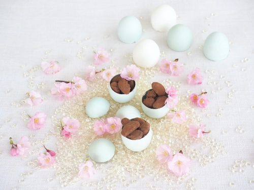 fèves de cacao au chocolat