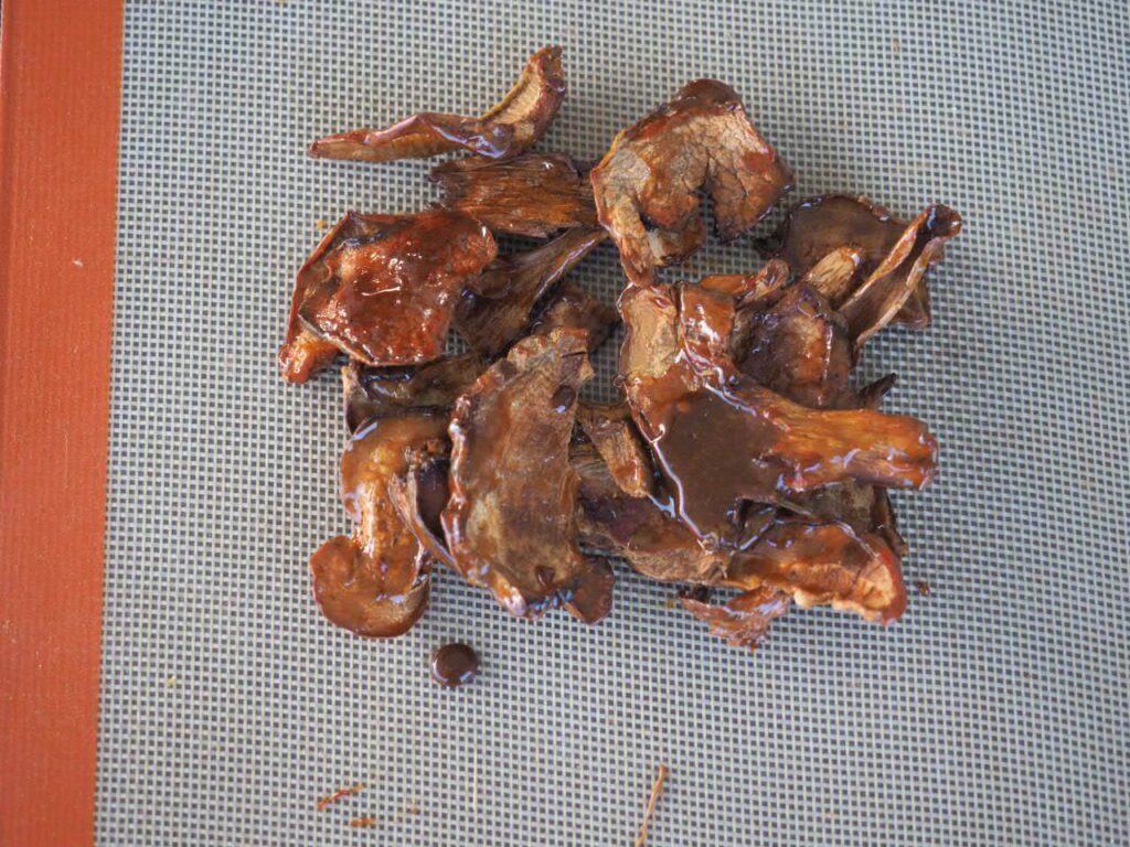 praliné de cèpe express