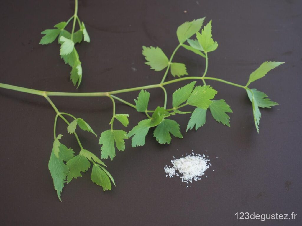 sel au céleri maison