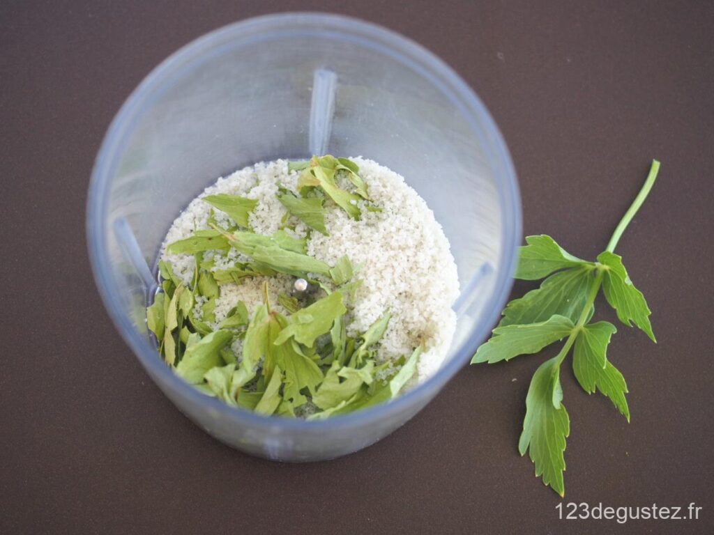 sel au céleri maison