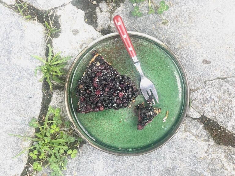 tarte aux myrtilles sauvages