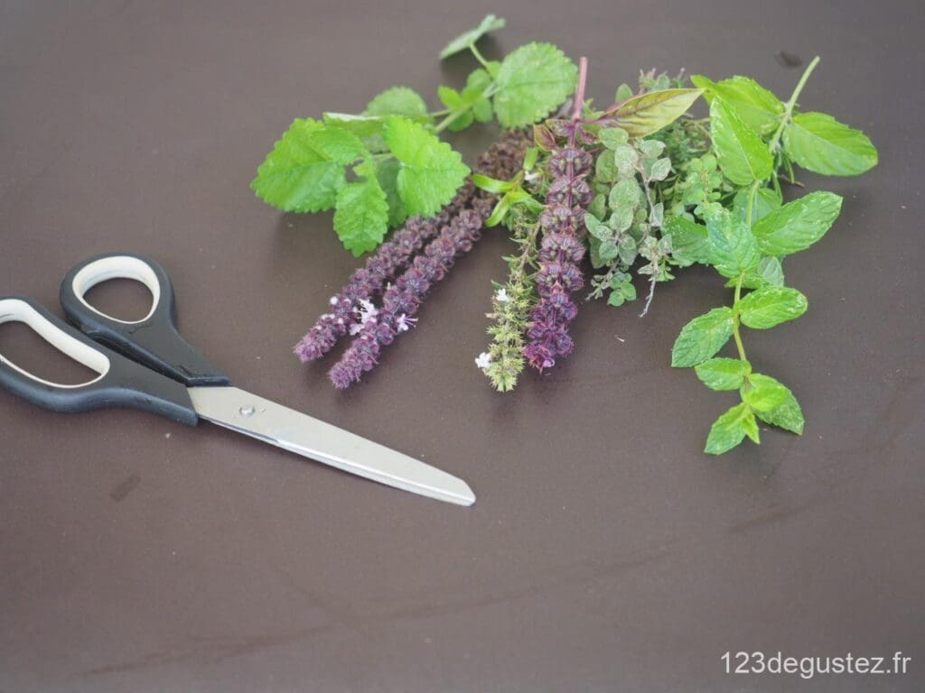 sauce tomate à la grecque